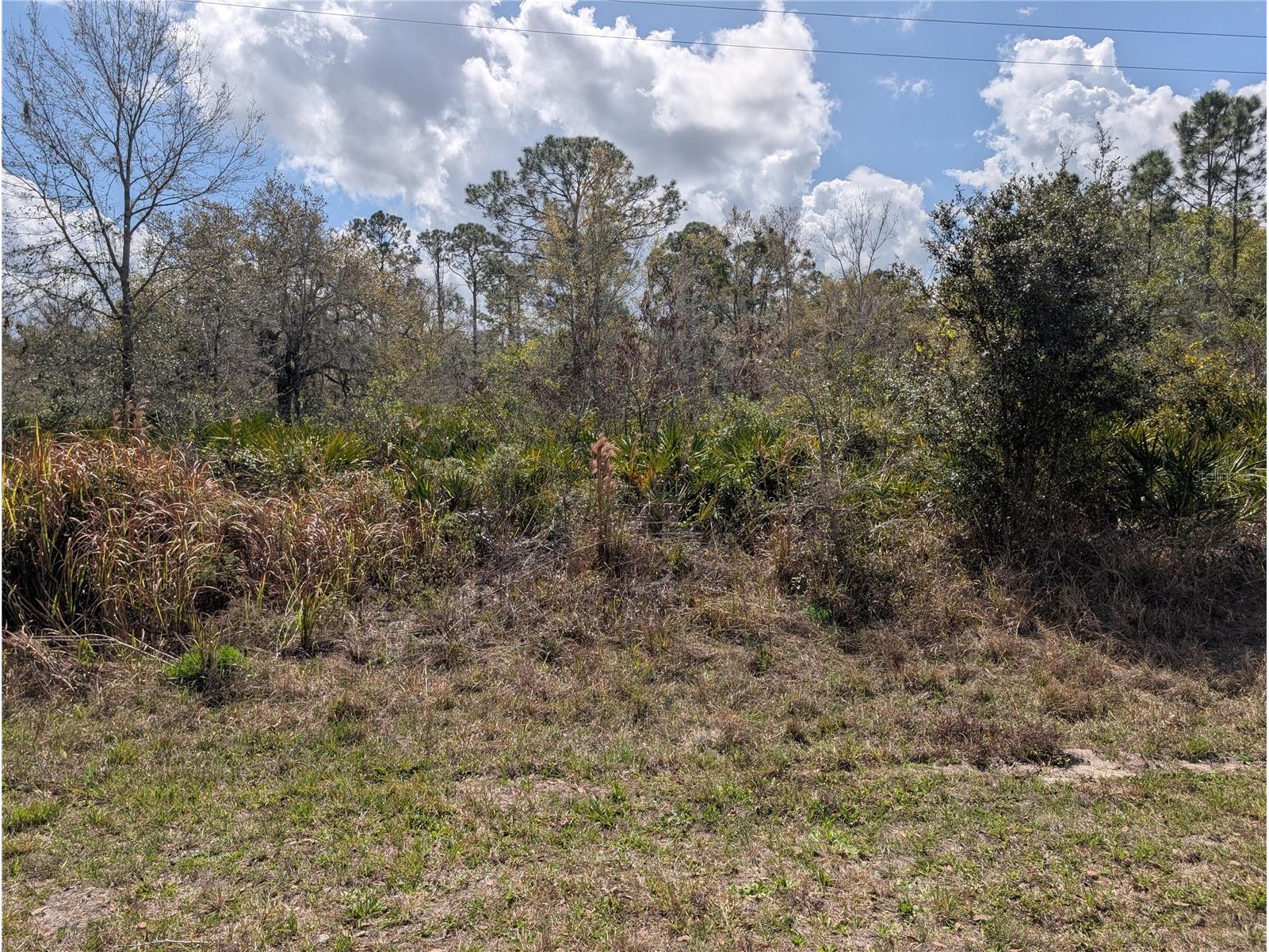 817 Poinciana Drive Indian Lake Estates FL 33855 - LAKE WALK-IN-WATER P4938038 image3