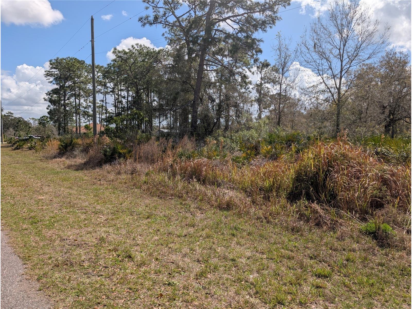 817 Poinciana Drive Indian Lake Estates FL 33855 - LAKE WALK-IN-WATER P4938038 image6