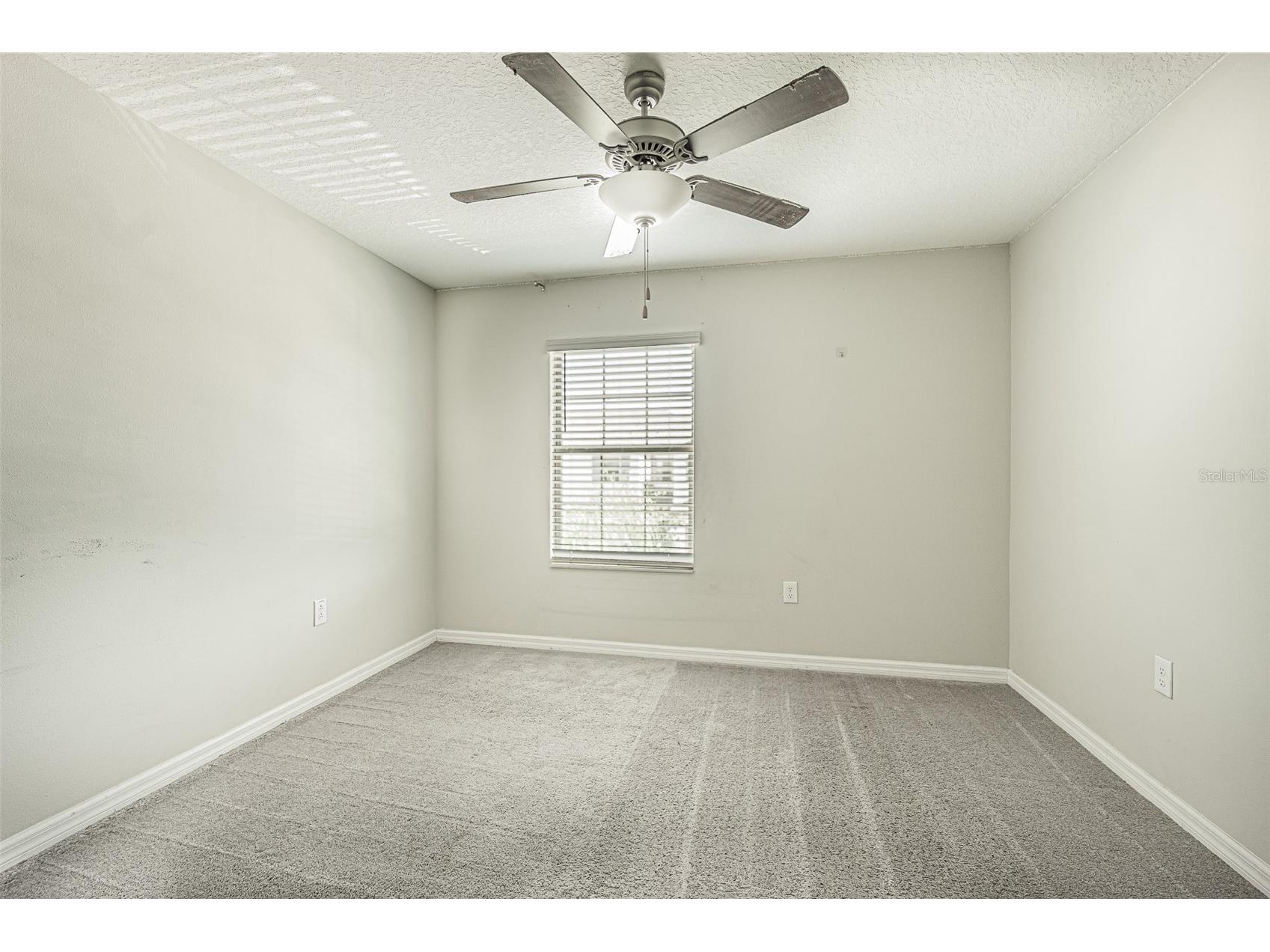 817 Royal Empress Drive Ruskin FL 33570 TB8510491 image22
