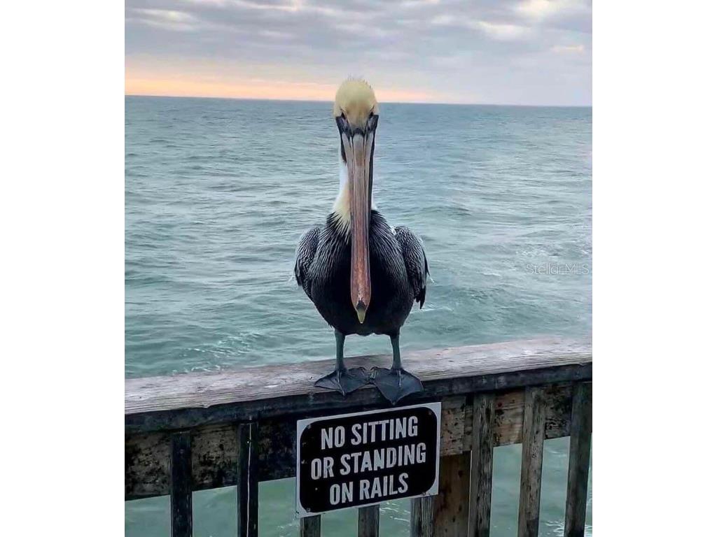 817 Sorrento Place #817 Nokomis FL 34275 N6139722 image40