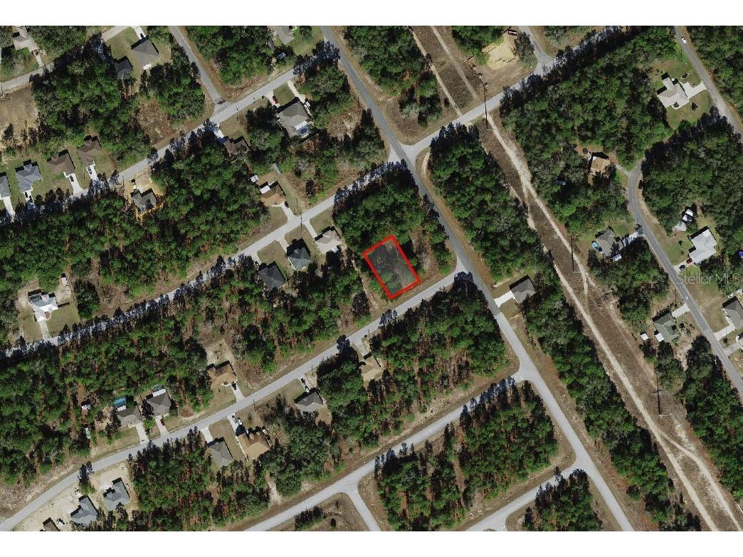 817 W Smallman Place Citrus Springs FL 34434 A4686205 image2