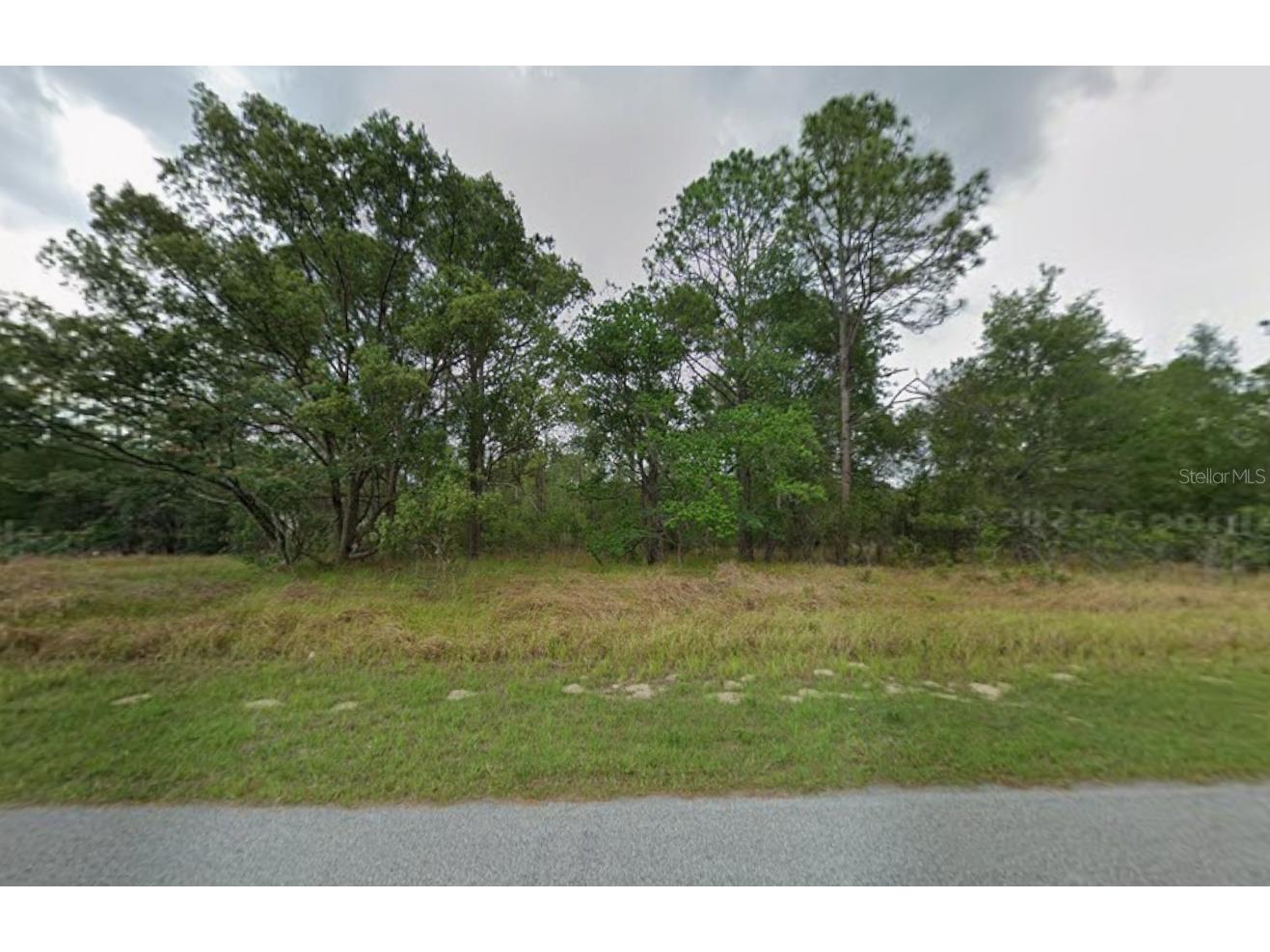 817 W Smallman Place Citrus Springs FL 34434 A4686205 image3
