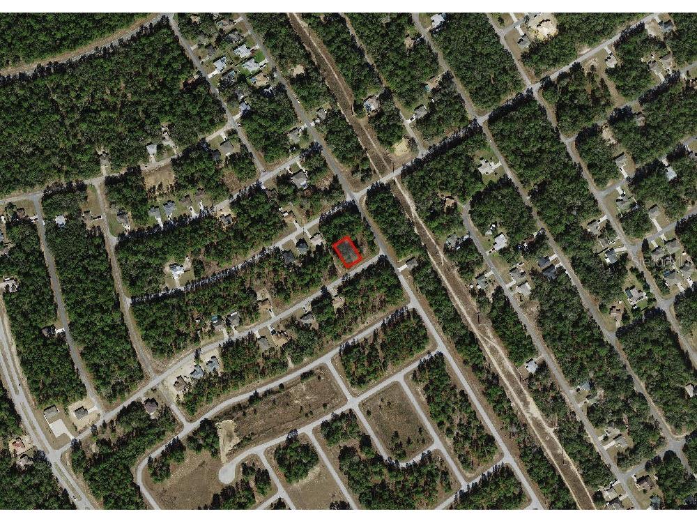 817 W Smallman Place Citrus Springs FL 34434 A4686205 image4
