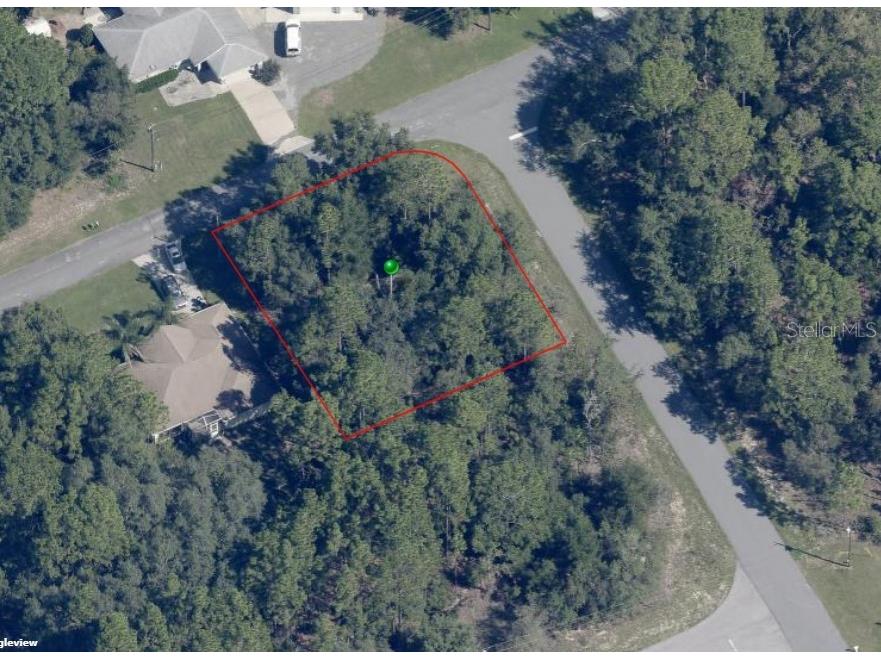 8170 N Hillview Circle Citrus Springs FL 34434 U8190917 image1