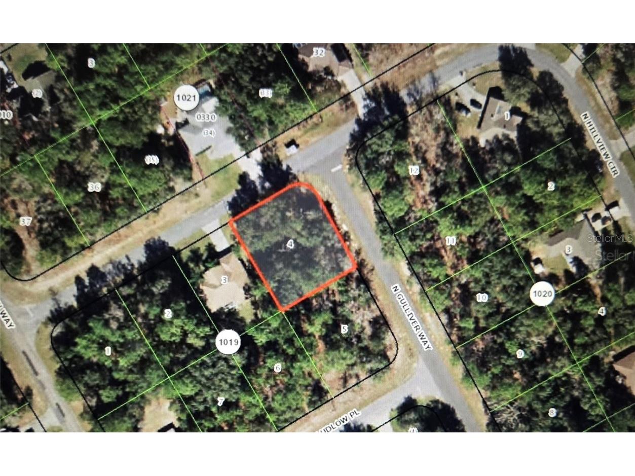 8170 N Hillview Circle Citrus Springs FL 34434 OM693102 image2