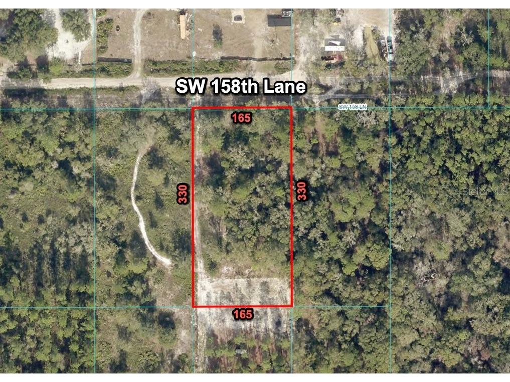 8170 SW 158 Lane Dunnellon FL 34432 O6302189 image1