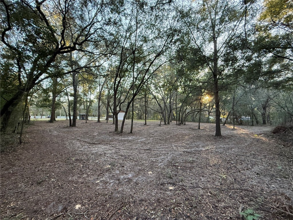 8171 NE 117th Place Bronson FL 32621 GC535158 image27