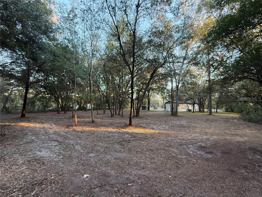 8171 NE 117th Place Bronson FL 32621 GC535158 image28