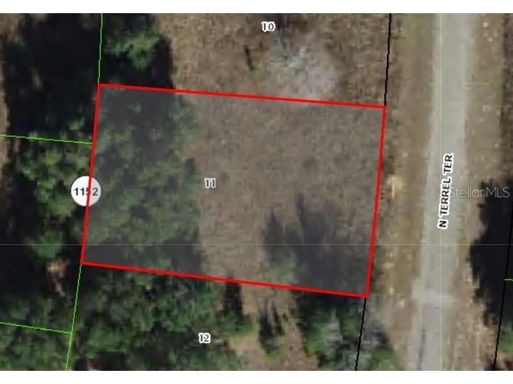 8172 N Terrel Terrace Citrus Springs FL 34434 OM681826 image1