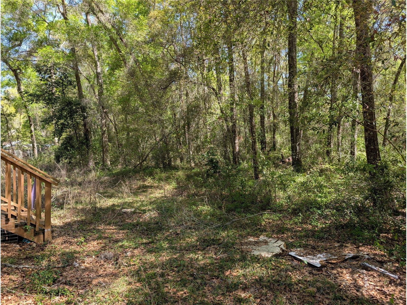 8174 Adrian Drive Brooksville FL 34613 TB8489093 image12