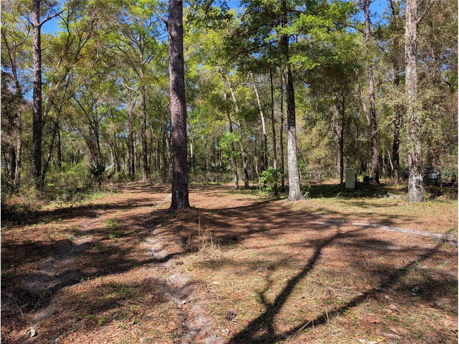 8174 Adrian Drive Brooksville FL 34613 TB8489093 image14