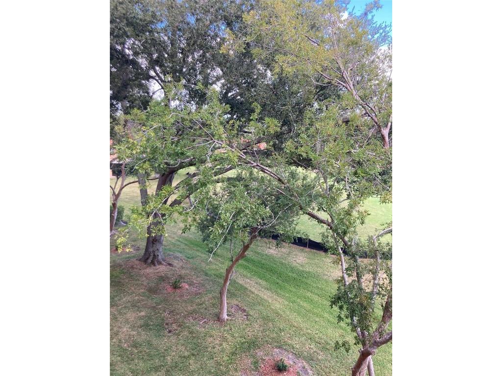 8174 N Terrace Garden Drive N #307 Saint Petersburg FL 33709 TB8436833 image10