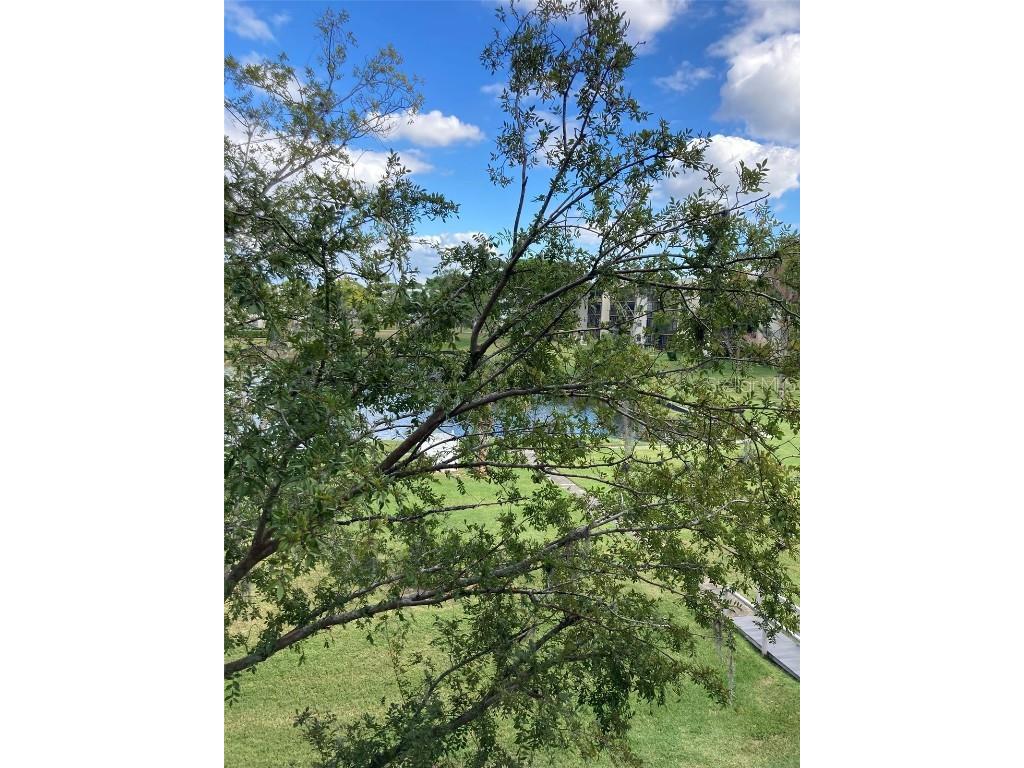 8174 N Terrace Garden Drive N #307 Saint Petersburg FL 33709 TB8436833 image9