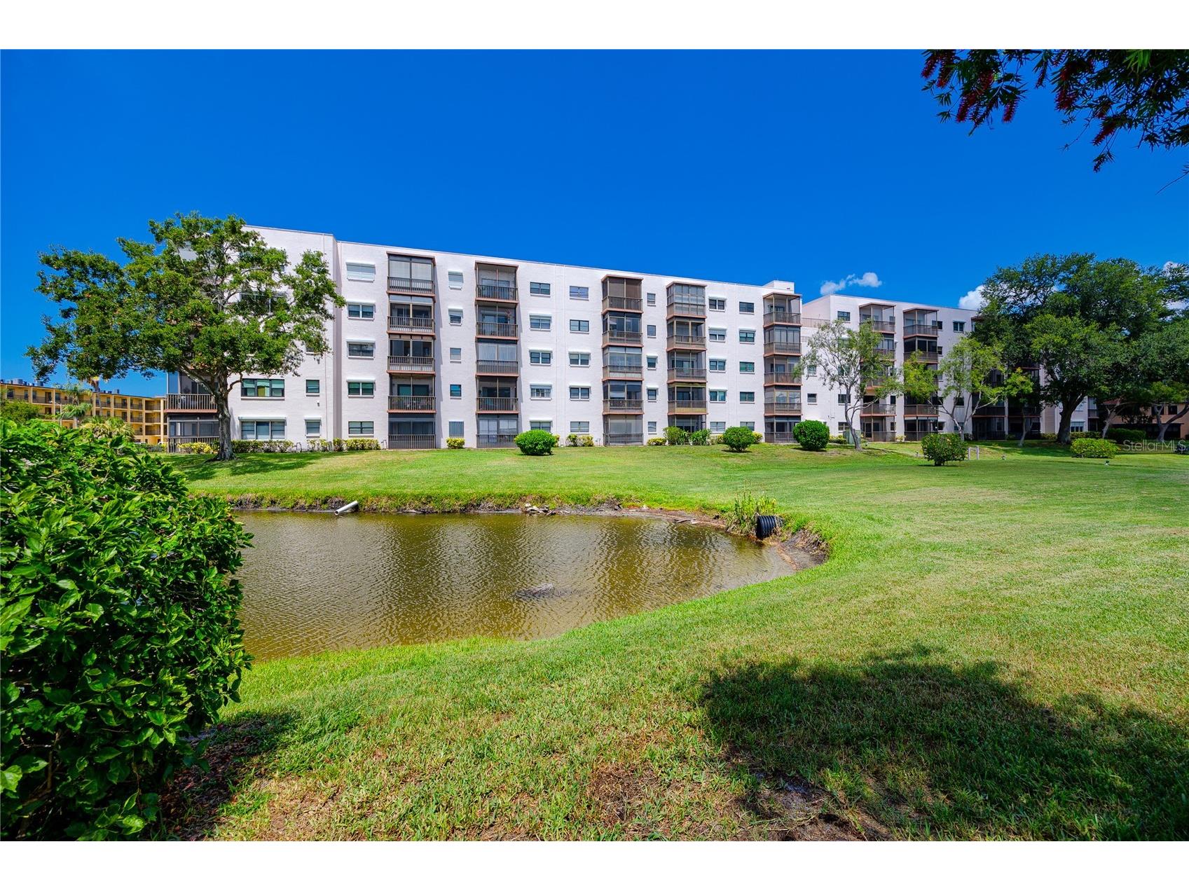 8174 Terrace Garden Drive N #307 Saint Petersburg FL 33709 TB8524287 image38