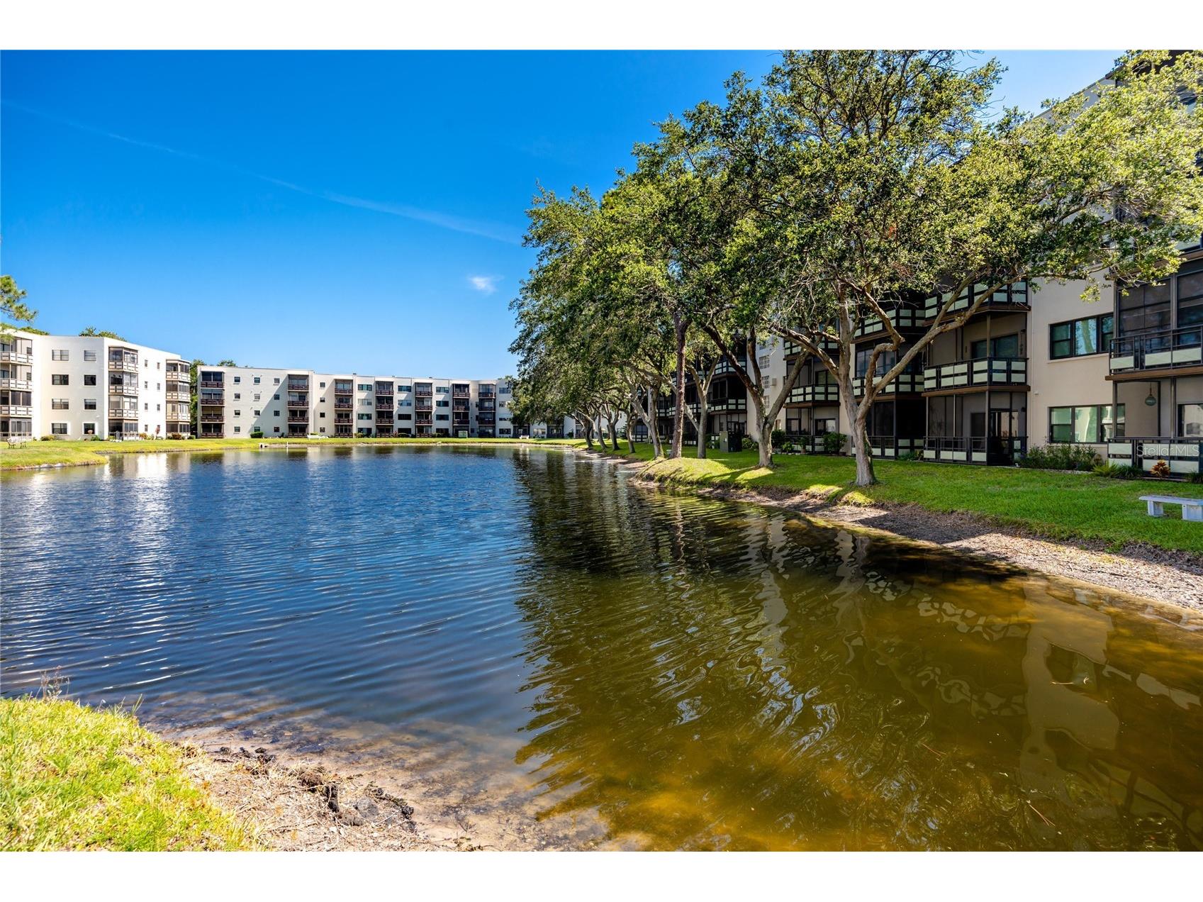 8174 Terrace Garden Drive N #307 Saint Petersburg FL 33709 TB8524287 image43