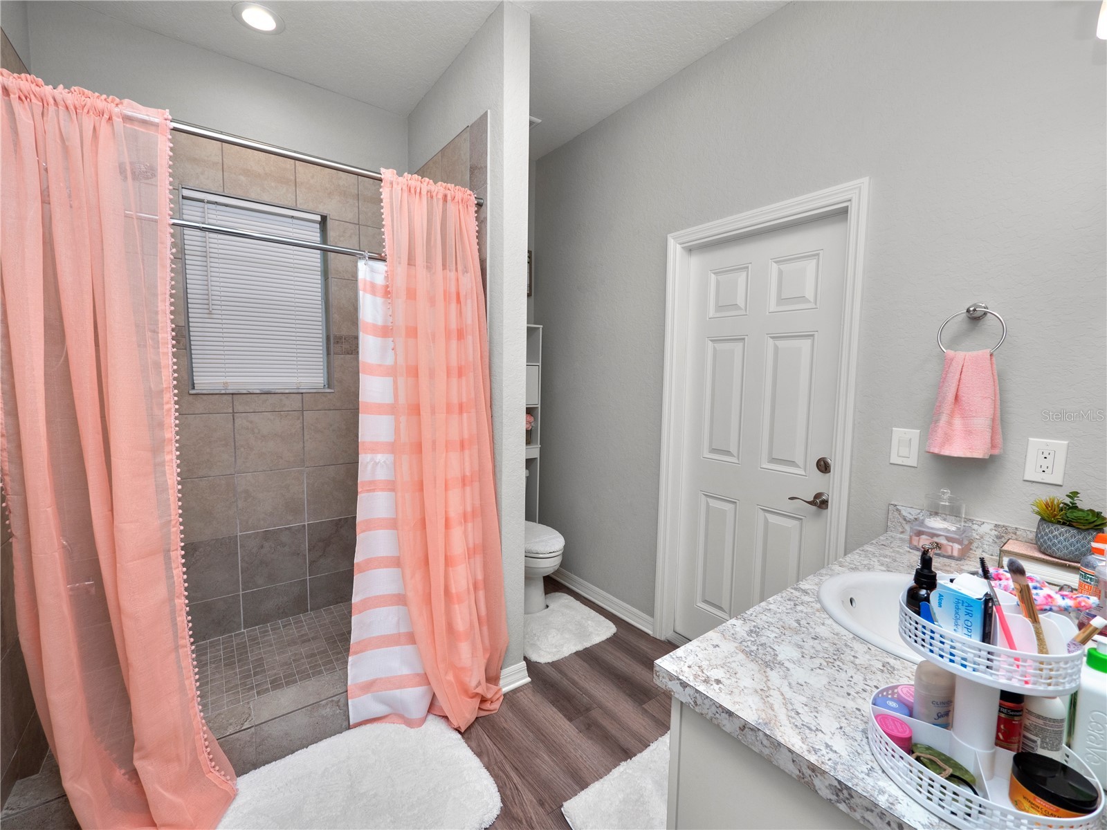 8174 Wilder Loop Lakeland FL 33809 L4955080 image44