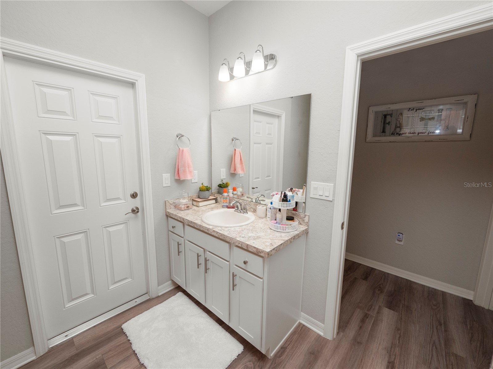 8174 Wilder Loop Lakeland FL 33809 L4955080 image45