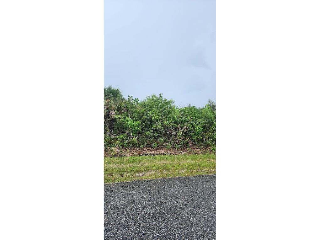 8175 Clyde Circle Port Charlotte FL 33981 D6143383 image4