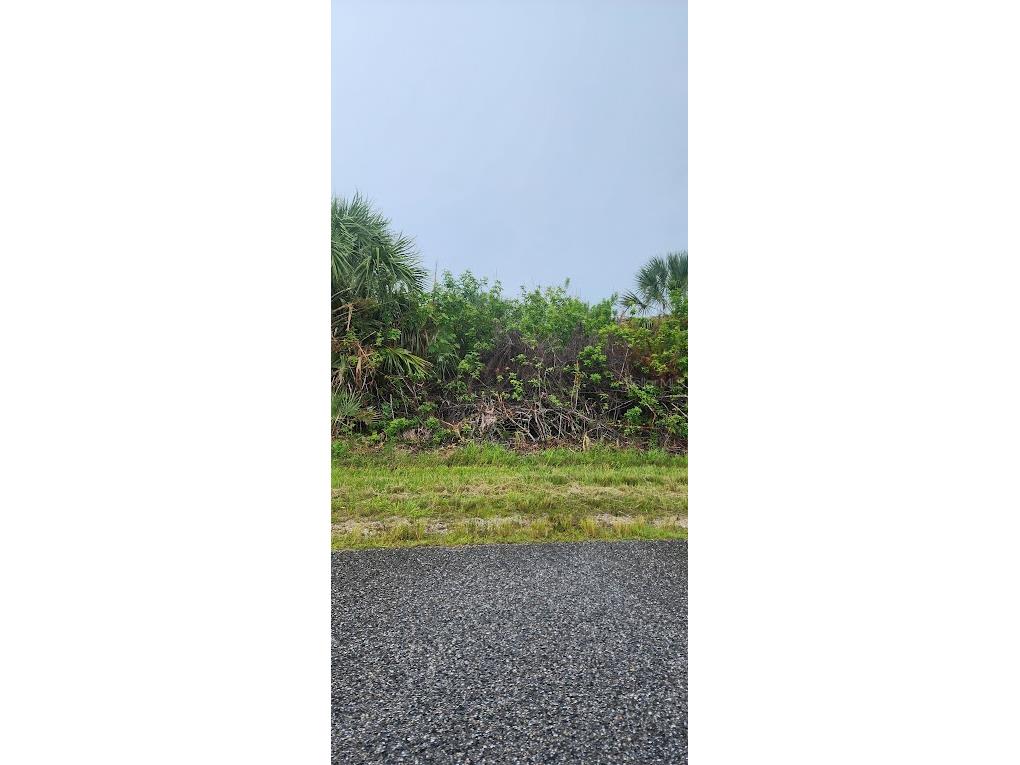 8175 Clyde Circle Port Charlotte FL 33981 D6143383 image6