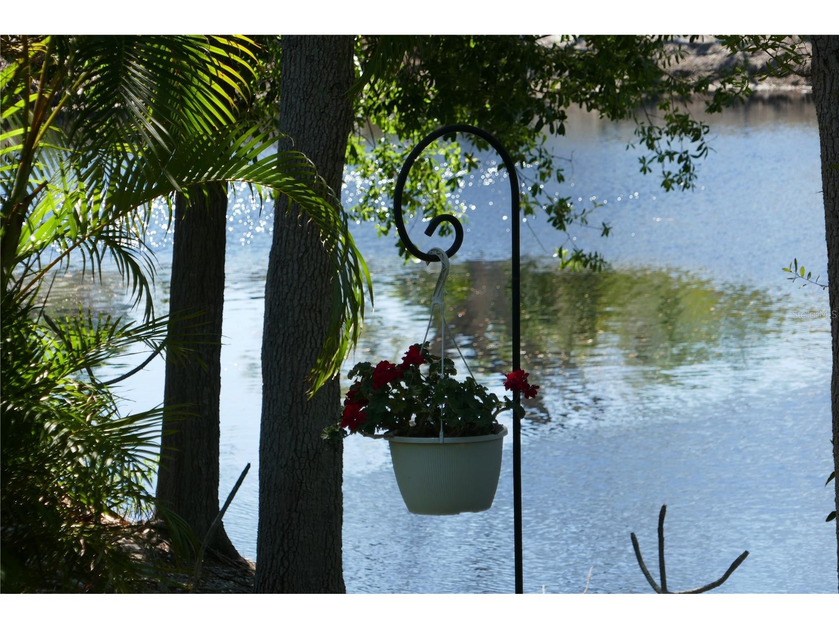 8176 129th Street N Seminole FL 33776 TB8487096 image22