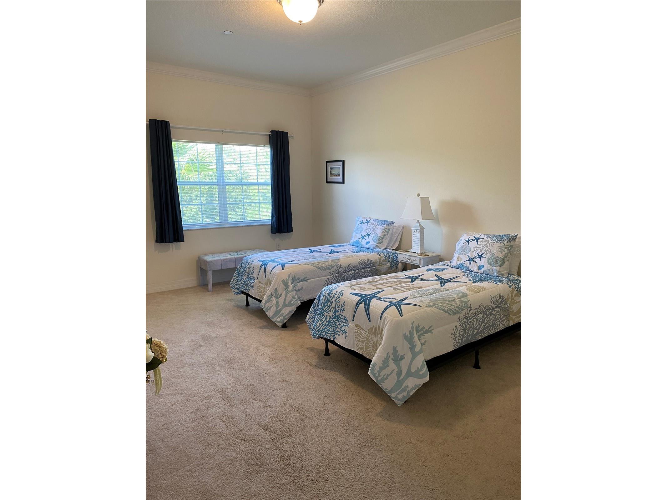 8176 Southern Pines Drive #8176 Brooksville FL 34601 C7527948 image15