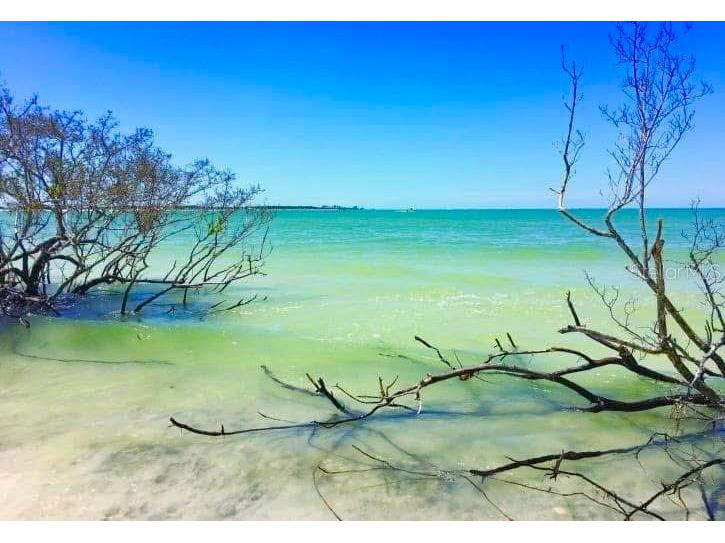 8176 St Kitts Circle Englewood FL 34224 A4695710 image19