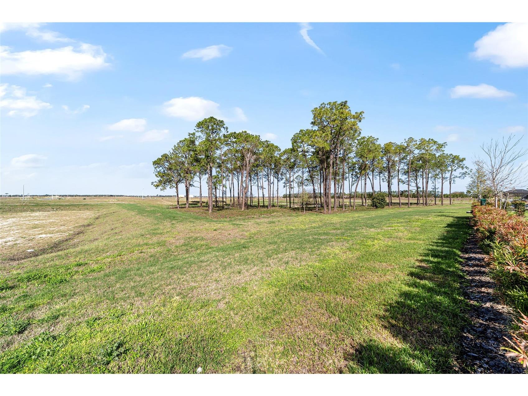 8176 SW 98th Terrace Road Ocala FL 34481 OM720419 image60