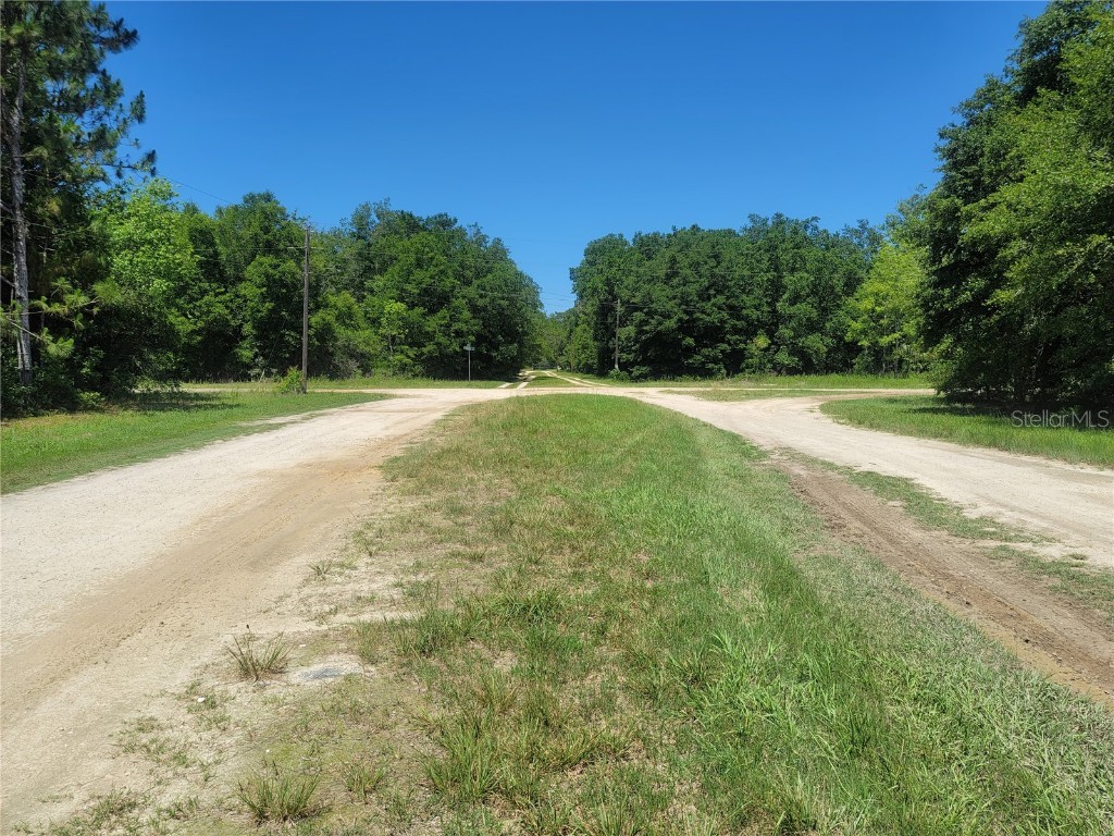 8177 W Previti Lane Crystal River FL 34428 L4951063 image1