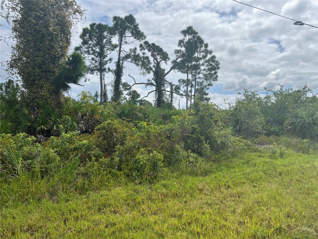 8178 Dimstead Street Port Charlotte FL 33981 A4668286 image1