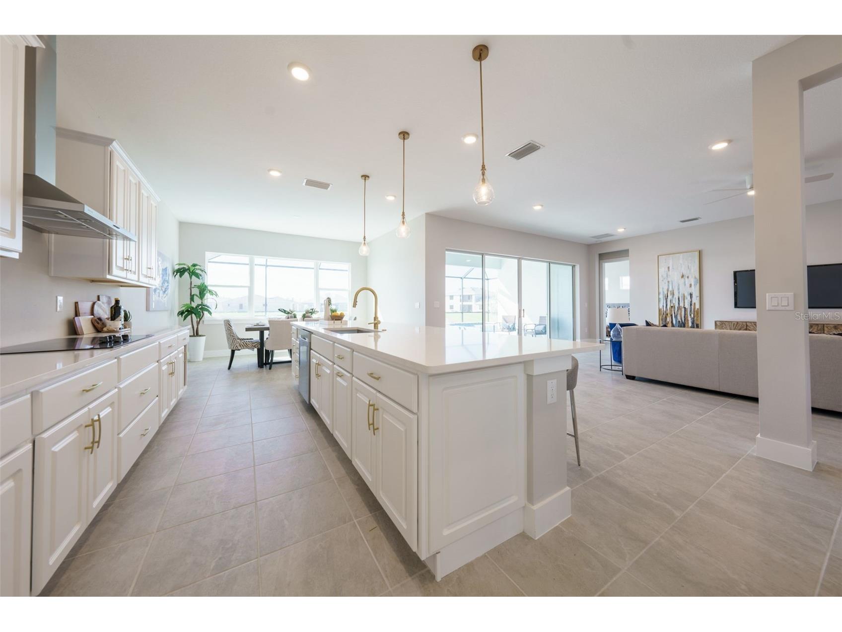 8178 Ivy Stark Boulevard Wesley Chapel FL 33545 TB8509809 image14