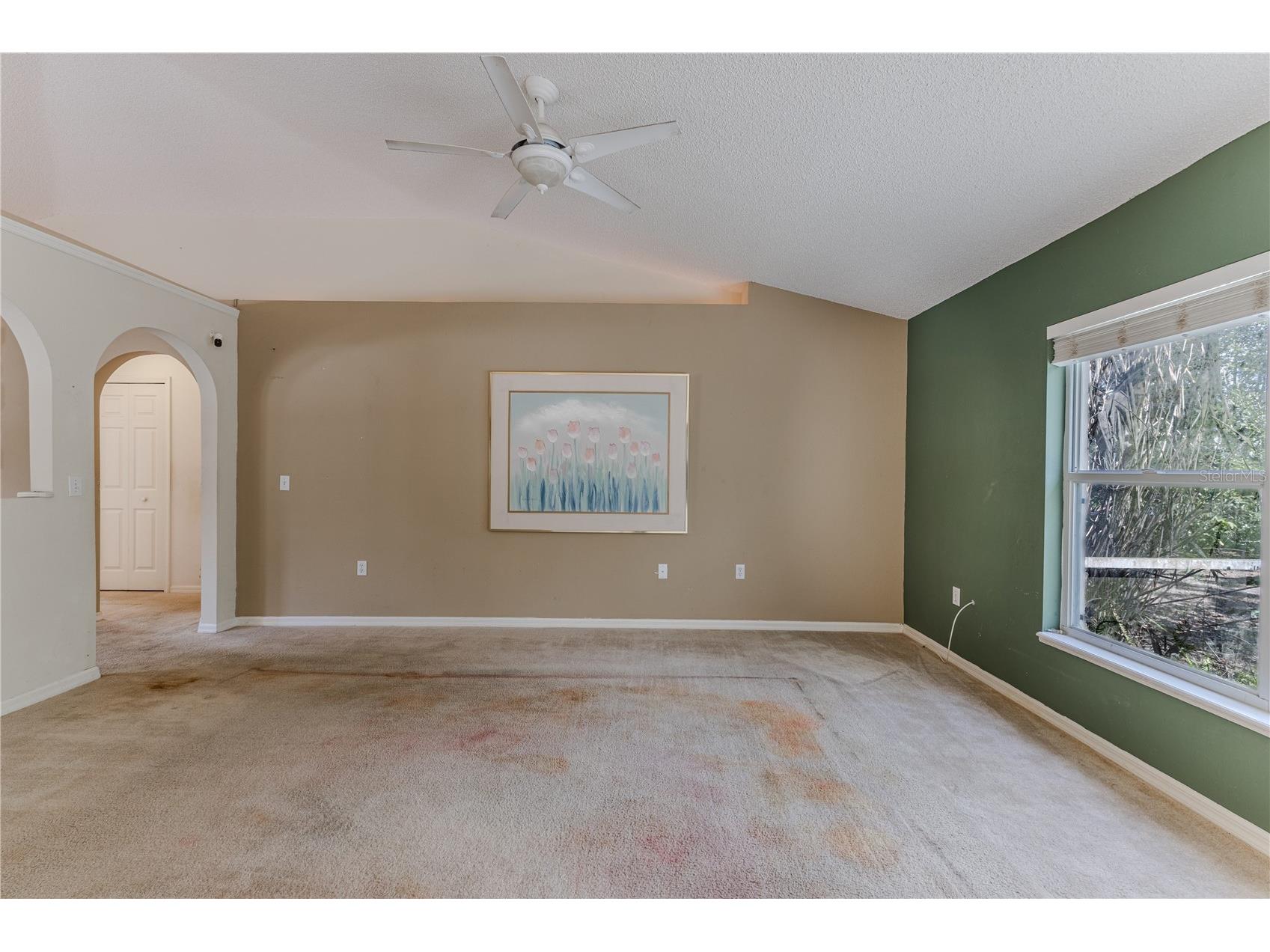 8178 Pinehurst Drive Spring Hill FL 34606 W7883535 image13