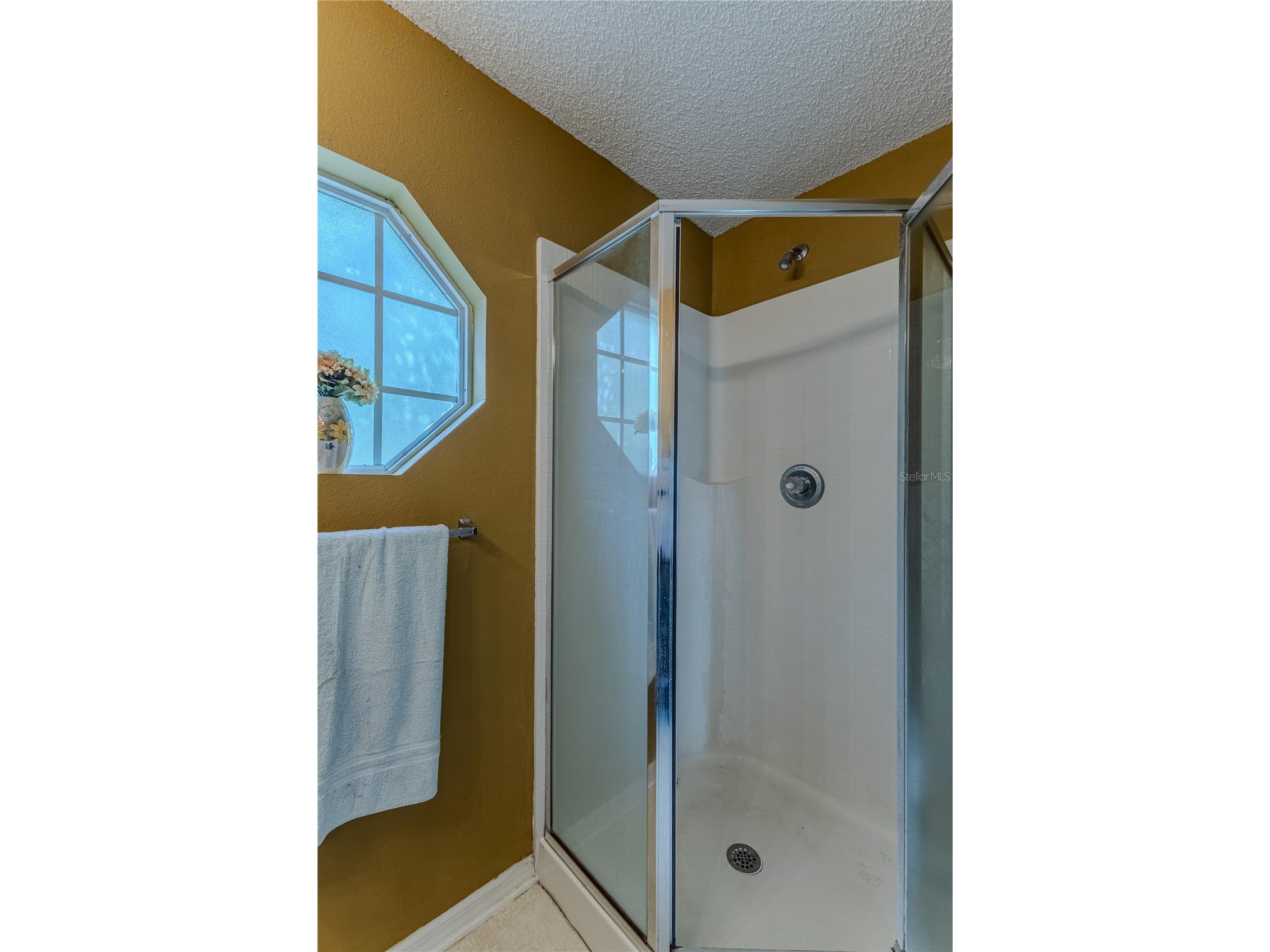 8178 Pinehurst Drive Spring Hill FL 34606 W7883535 image25