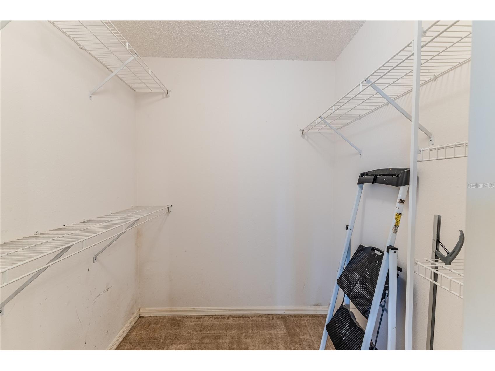 8178 Pinehurst Drive Spring Hill FL 34606 W7883535 image26