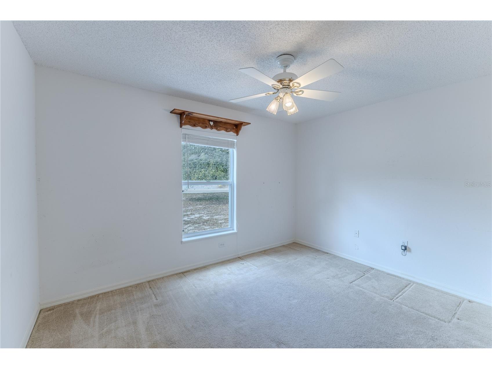 8178 Pinehurst Drive Spring Hill FL 34606 W7883535 image27