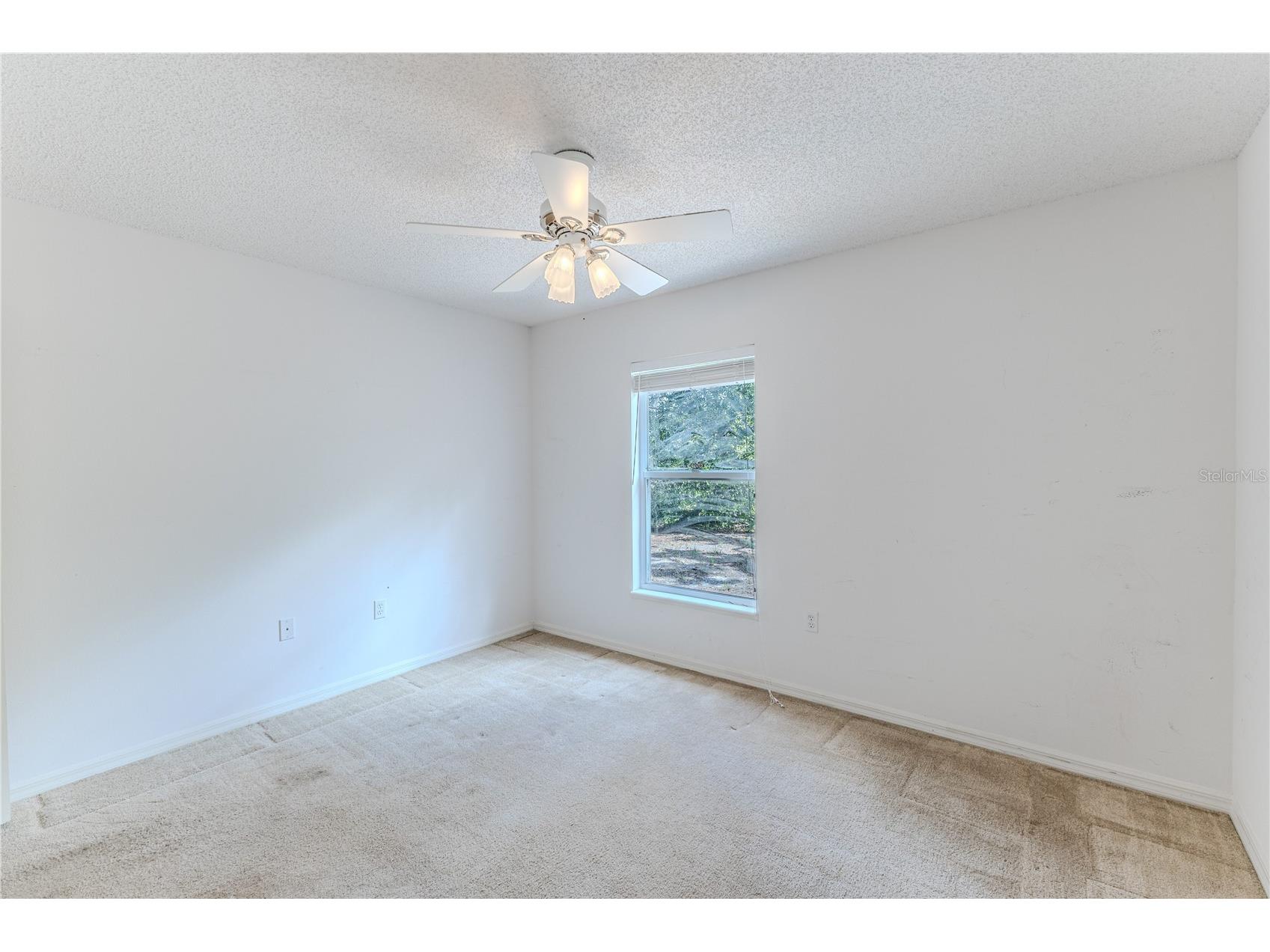 8178 Pinehurst Drive Spring Hill FL 34606 W7883535 image31