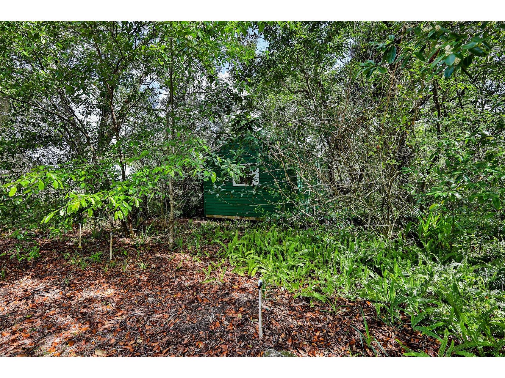 8178 Pinehurst Drive Spring Hill FL 34606 W7883535 image39