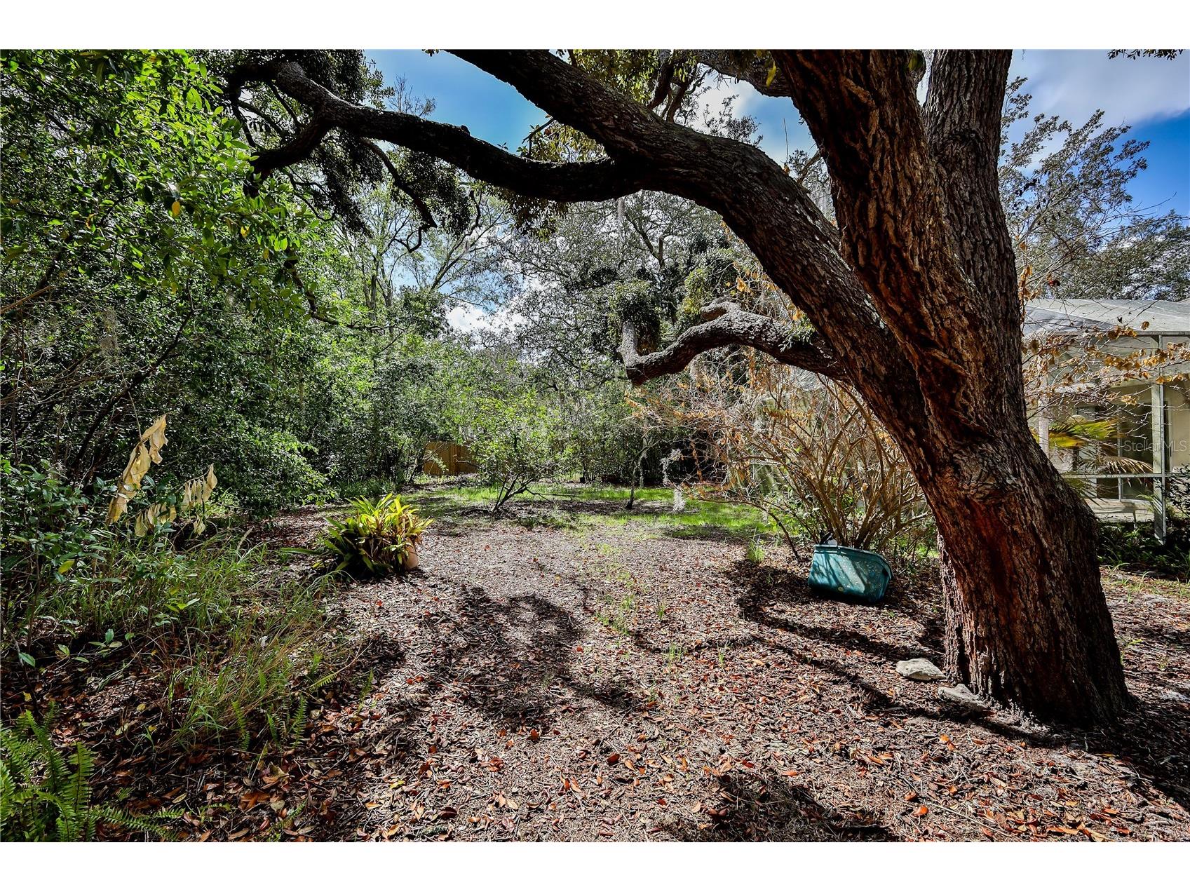 8178 Pinehurst Drive Spring Hill FL 34606 W7883535 image41