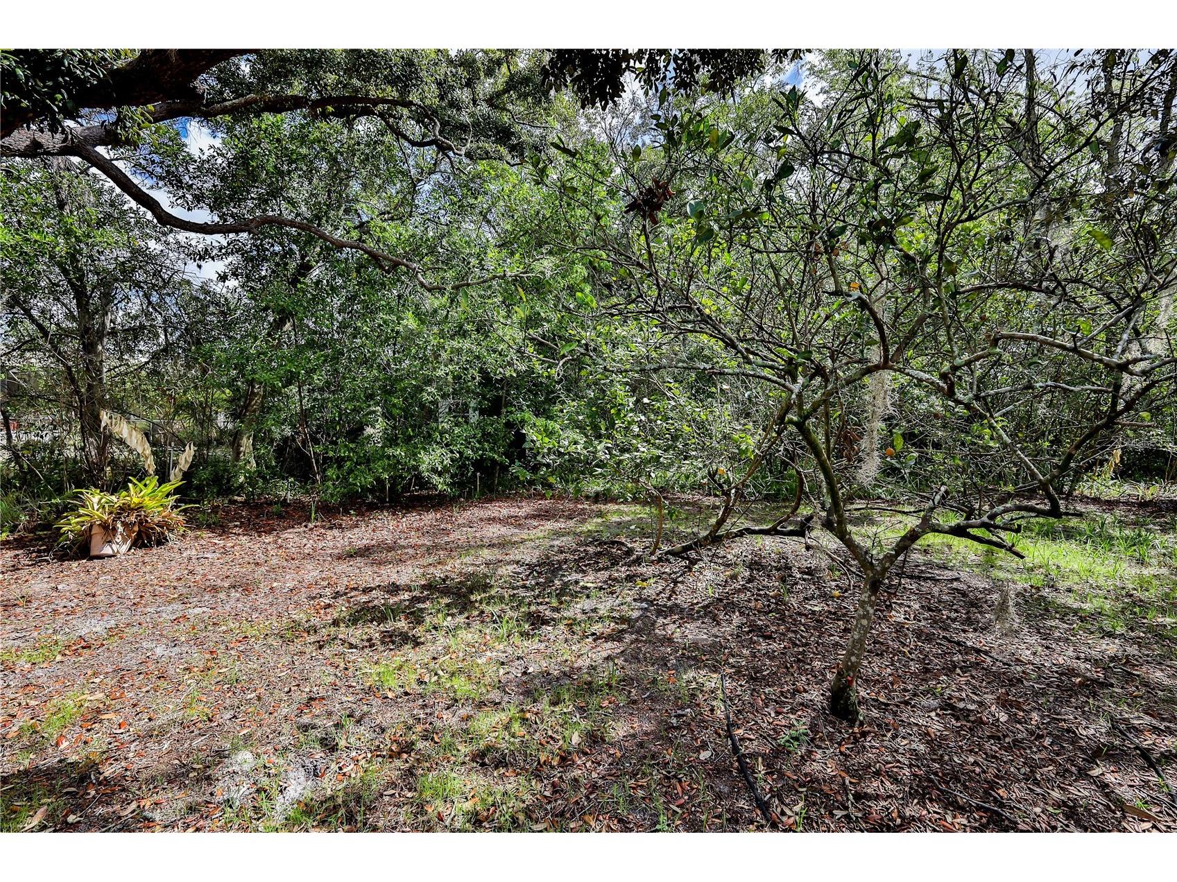 8178 Pinehurst Drive Spring Hill FL 34606 W7883535 image42