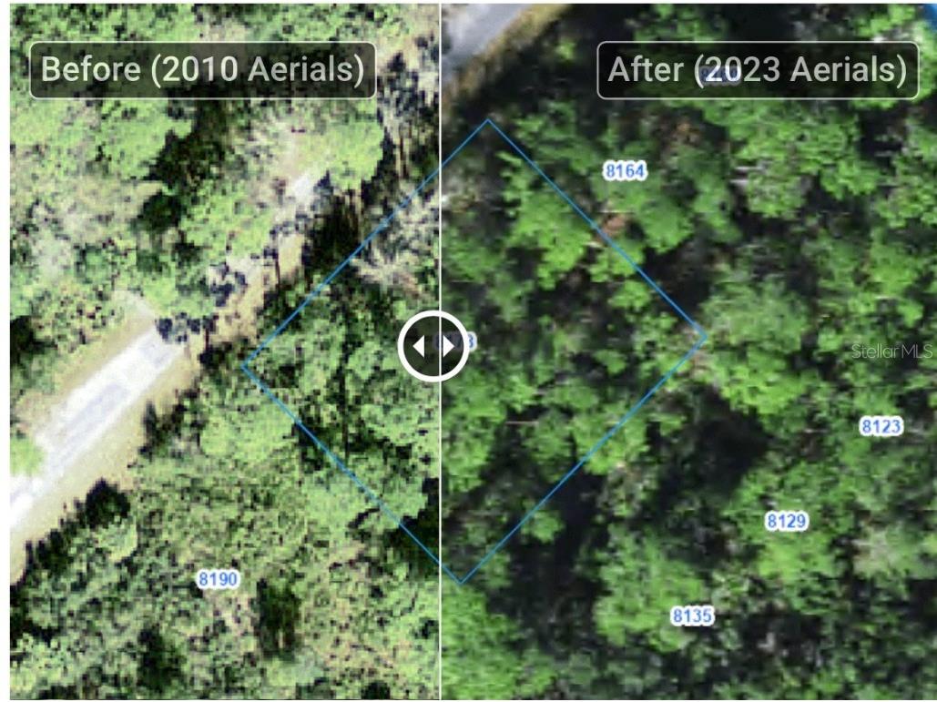 8178 W Windhaven Place Homosassa FL 34448 W7881008 image1