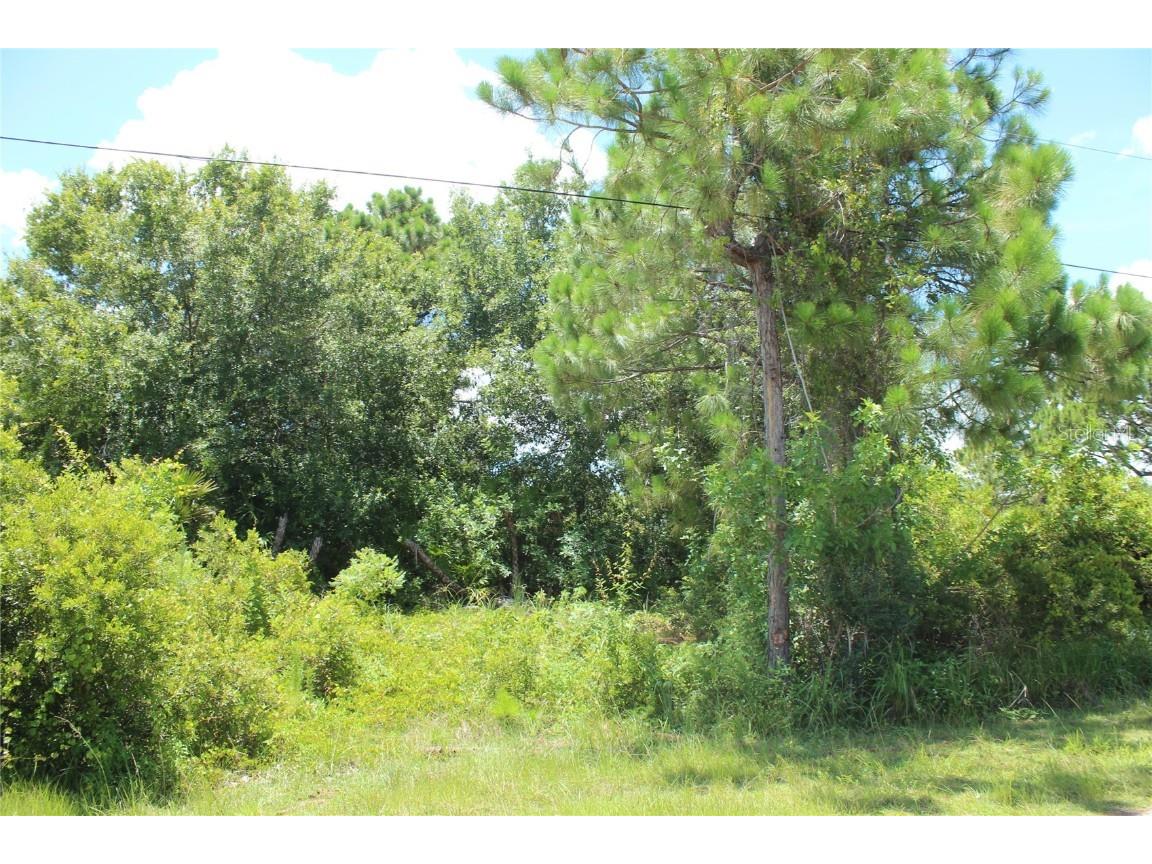 8179 Walbert Street Port Charlotte FL 33981 D6126470 image1