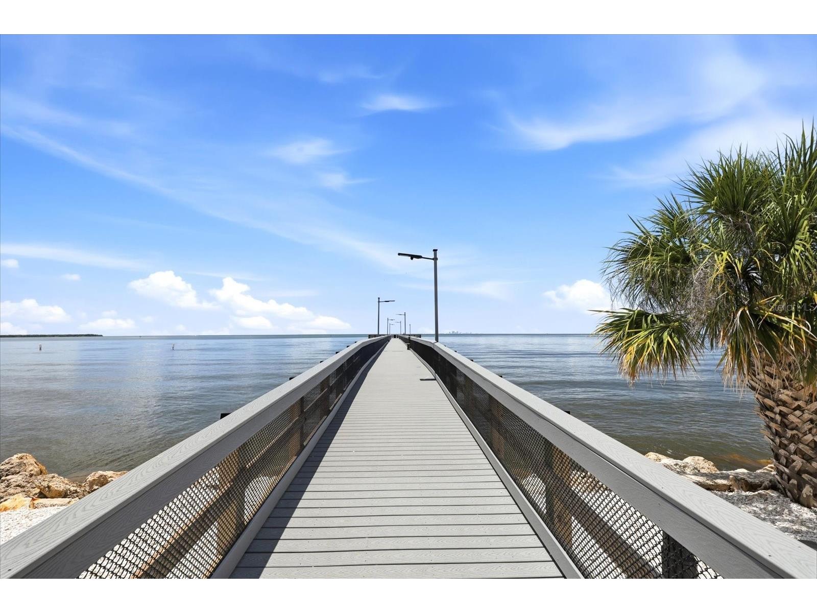 818 Bahia Del Sol Drive #28 Ruskin FL 33570 - TAMPA BAY TB8511143 image68