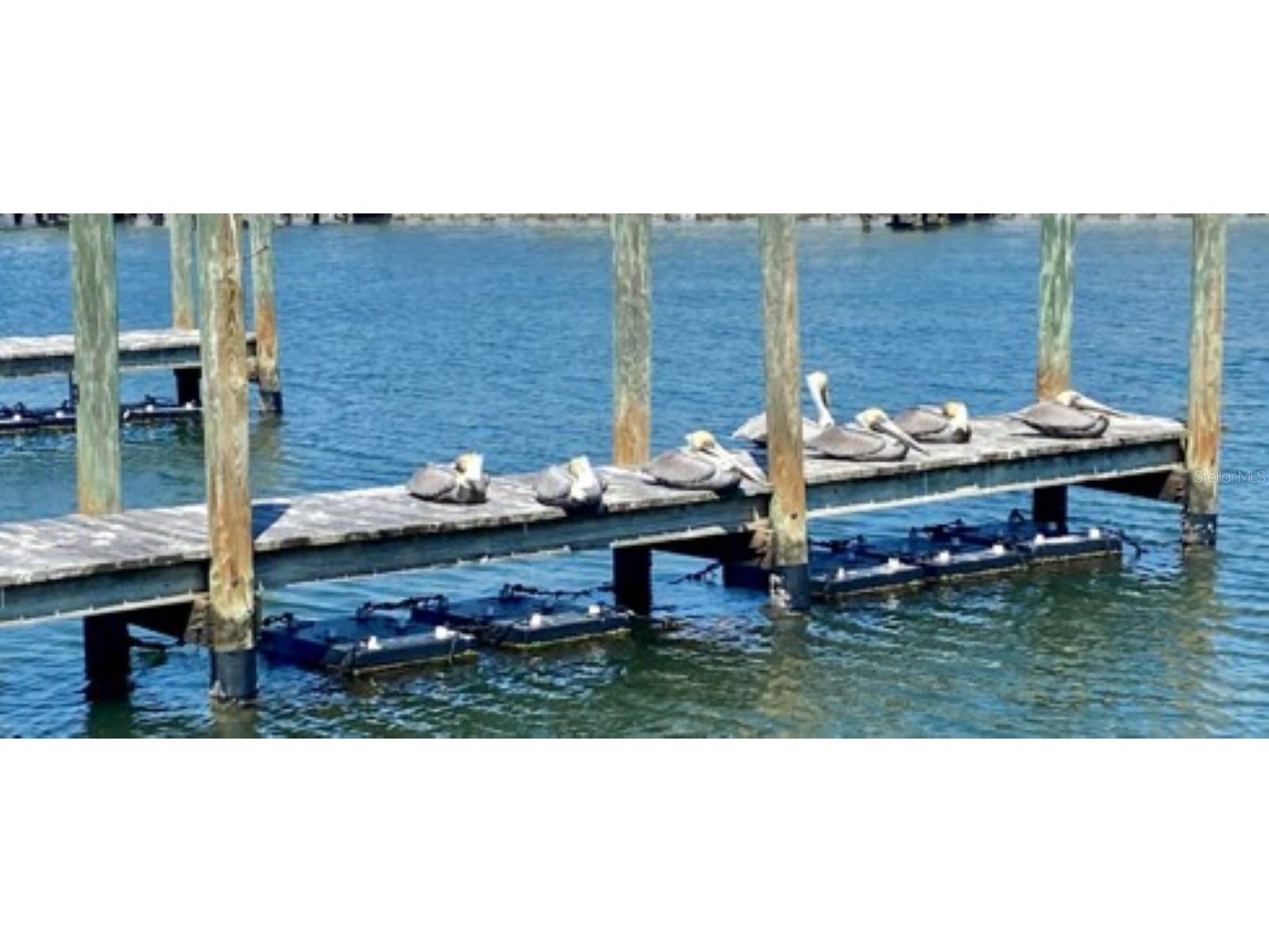 818 Bogie Street Venice FL 34285 N6138010 image26