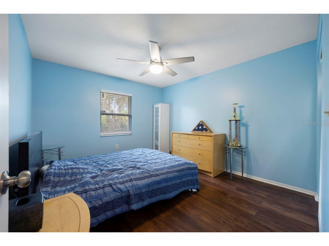 818 Eunice Drive Tarpon Springs FL 34689 TB8408472 image22