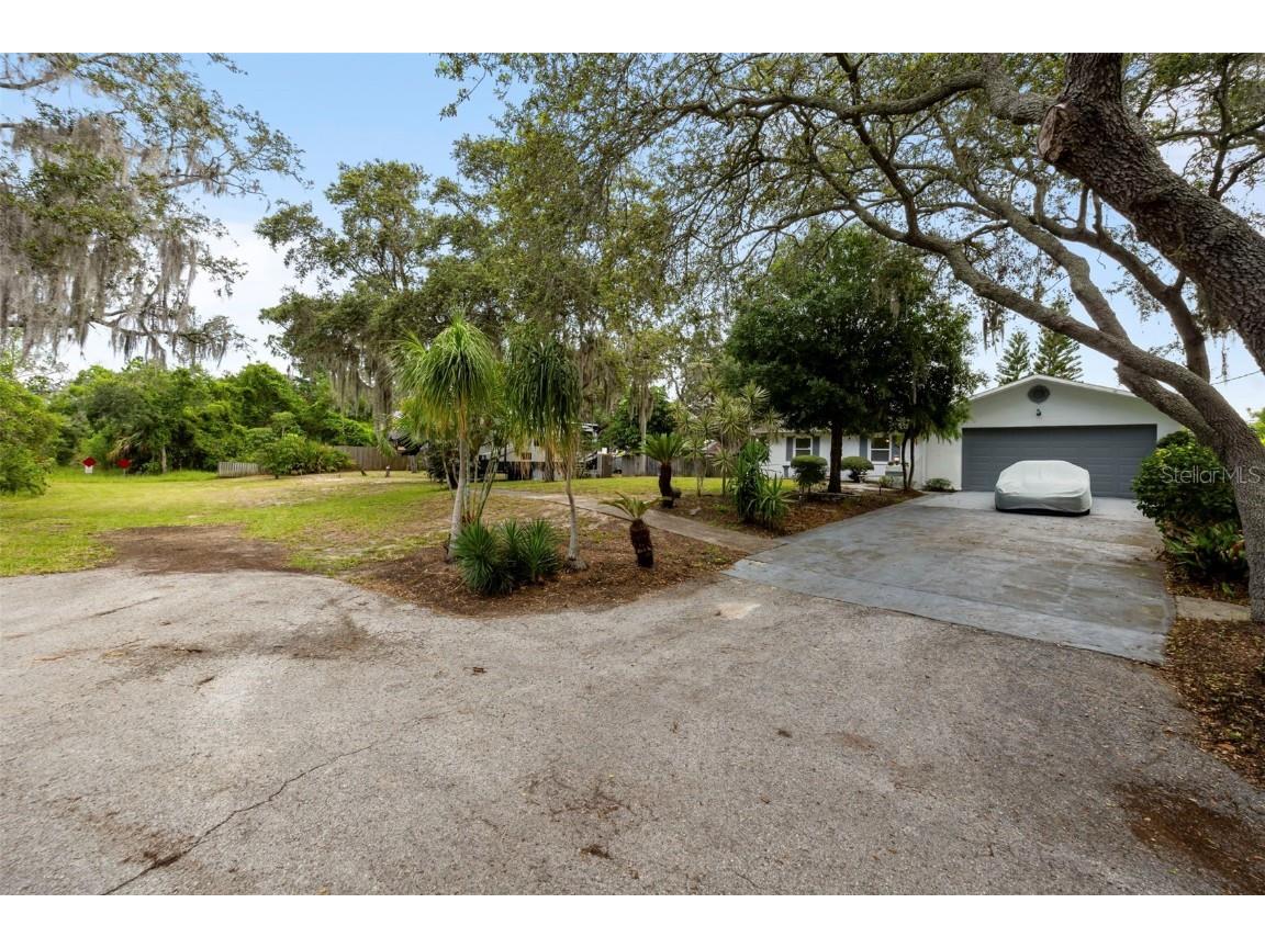818 Eunice Drive Tarpon Springs FL 34689 TB8408472 image4