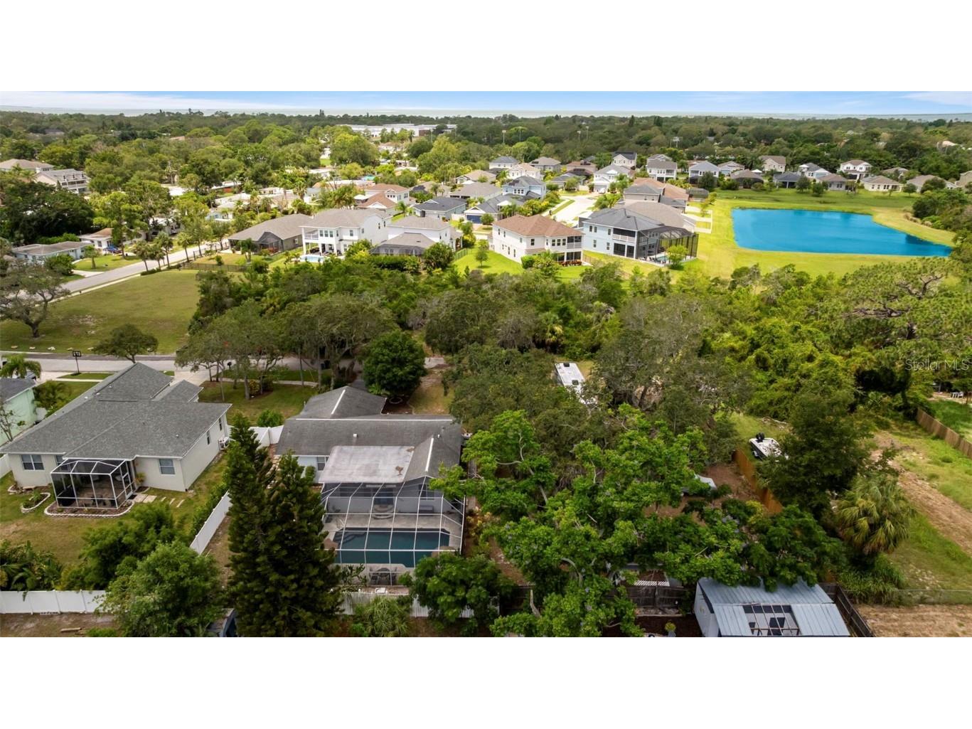 818 Eunice Drive Tarpon Springs FL 34689 TB8408472 image46