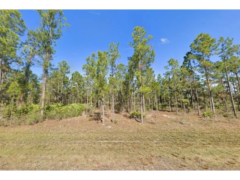 818 Japonica Drive Indian Lake Estates FL 33855 - LAKE WEOHYAKAPKA T3391326 image1