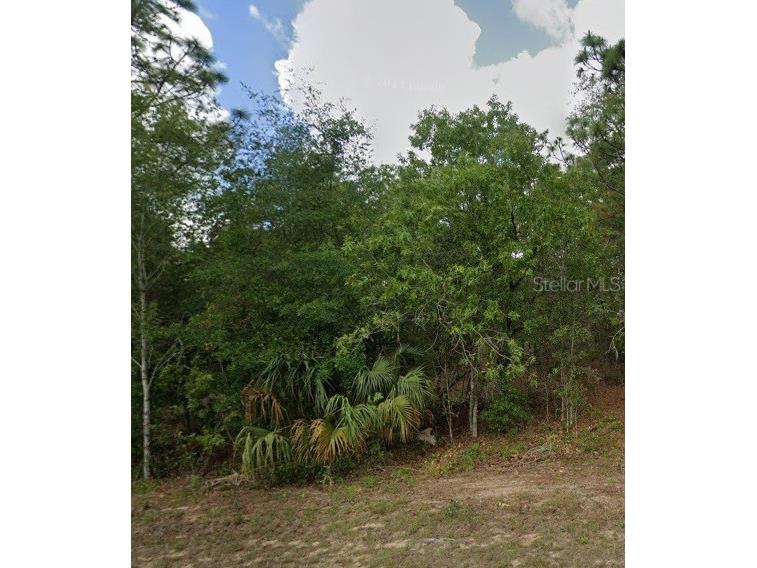818 N Kensington Avenue Lecanto FL 34461 TB8504210 image3
