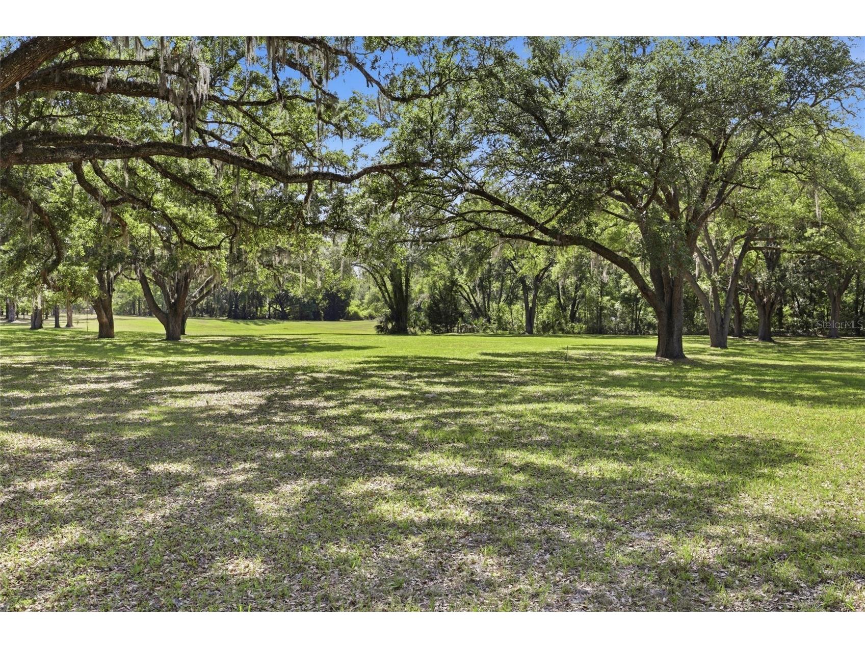 818 NE 783 Street Old Town FL 32680 GC539549 image79