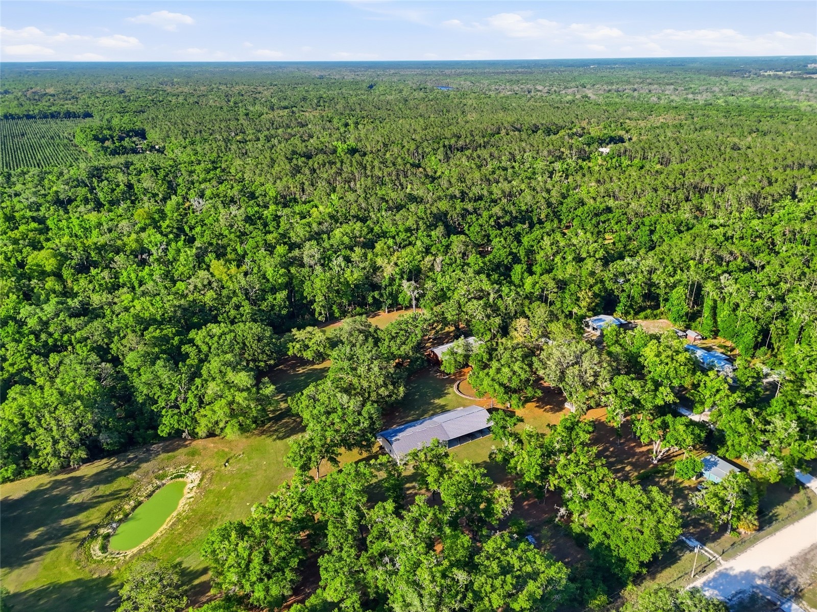 818 NE 783 Street Old Town FL 32680 GC539549 image81