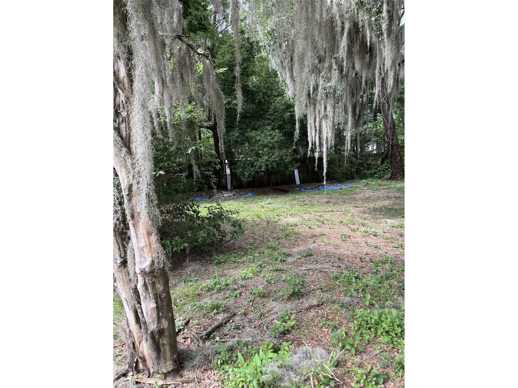 818 NE 9th Avenue Ocala FL 34470 OM726494 image14